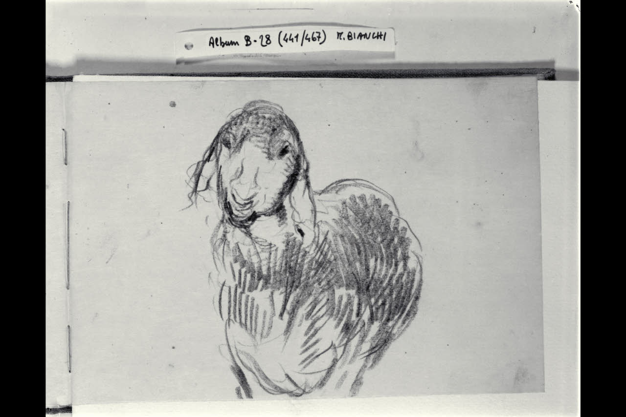 Pecora vista di scorcio (disegno) di Bianchi, Mosè; Bianchi, Mosè (seconda metà sec. XIX)