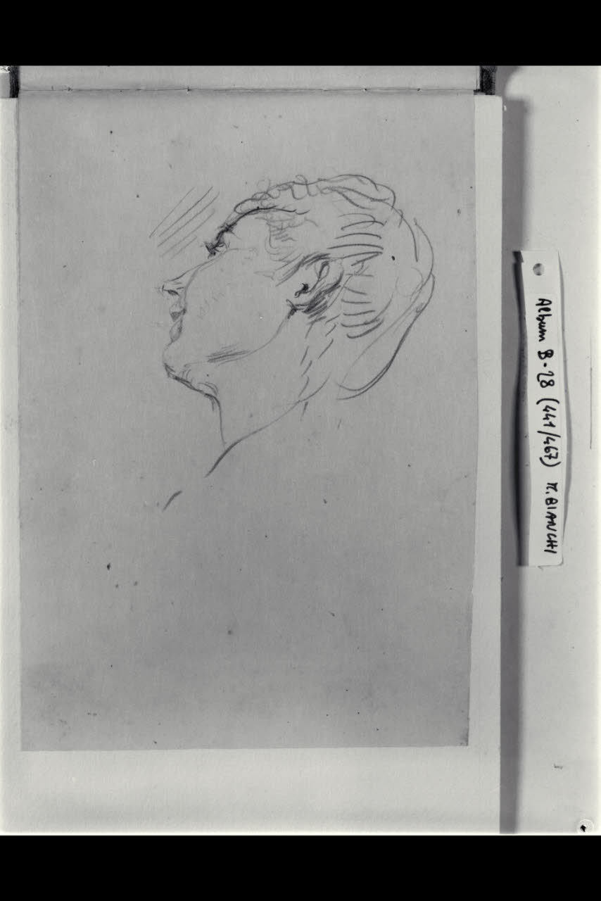 Scorcio di una testa femminile (?) (disegno) di Bianchi, Mosè; Bianchi, Mosè (seconda metà sec. XIX)