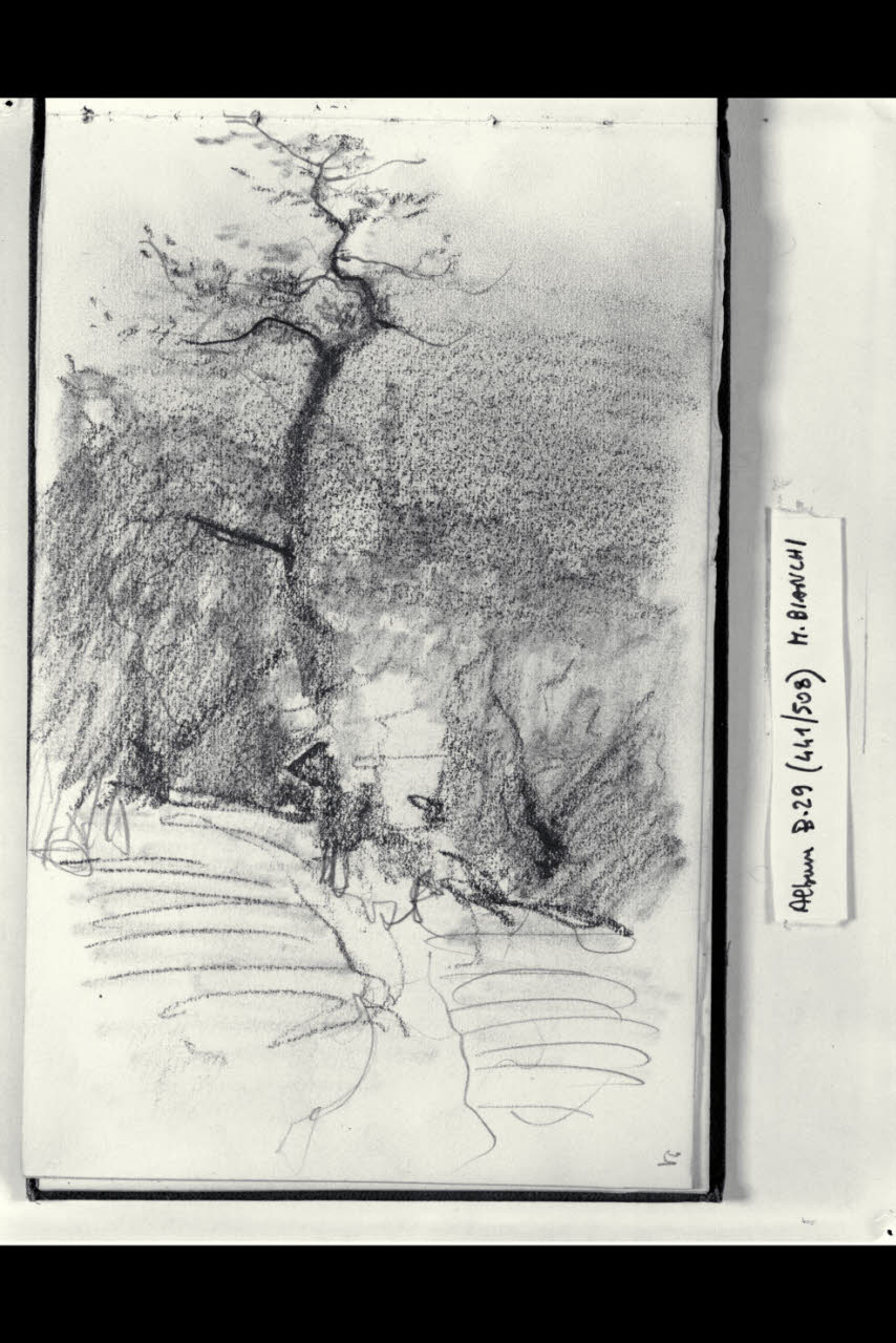 Strada alberata (disegno) di Bianchi, Mosè; Bianchi, Mosè (seconda metà sec. XIX)