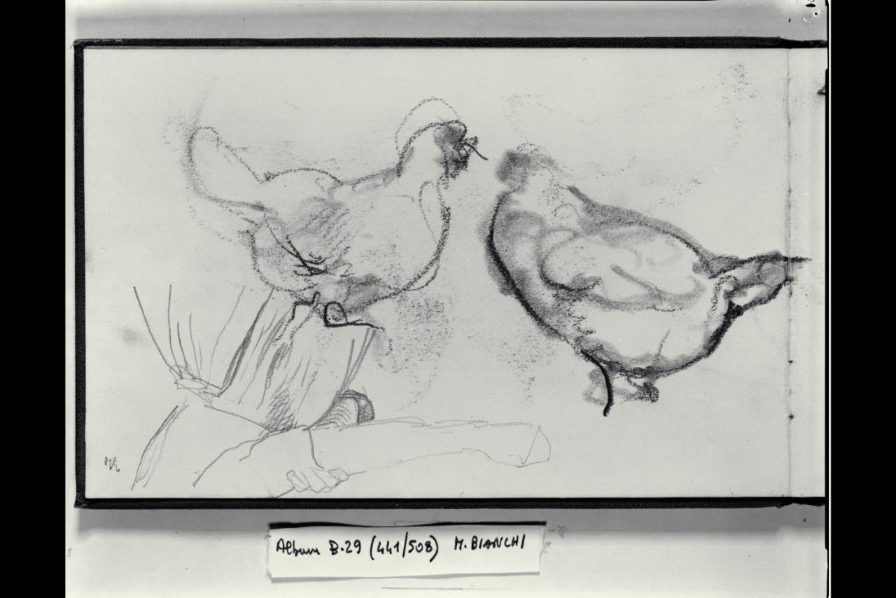 Due galline e particolare di donna (disegno) di Bianchi, Mosè; Bianchi, Mosè (seconda metà sec. XIX)