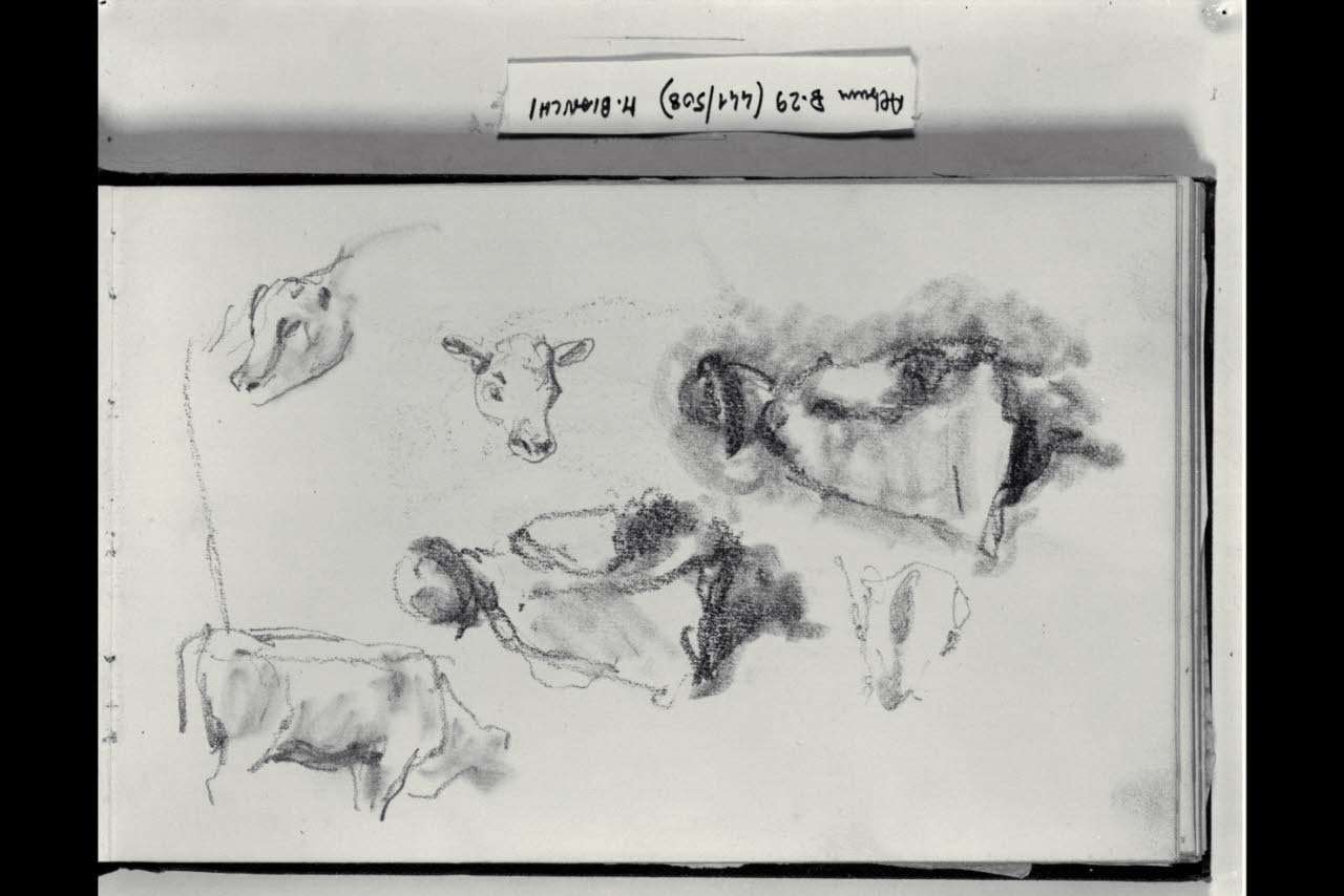 Schizzi di una figura di contadinello, due testine di vitello e abbozzo di un bovino (disegno) di Bianchi, Mosè; Bianchi, Mosè (seconda metà sec. XIX)