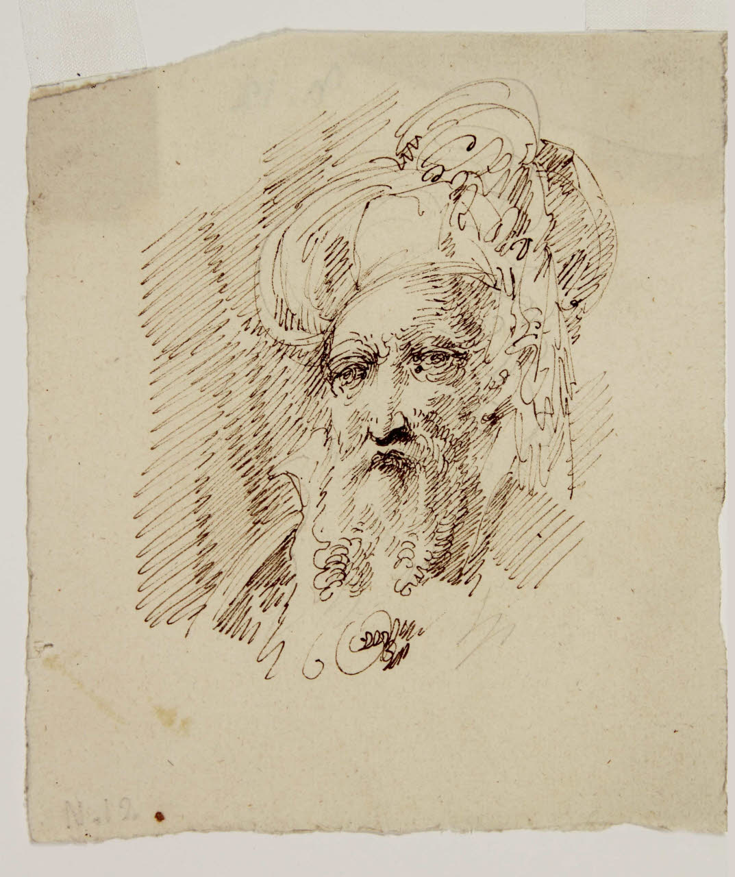 Testa di vecchio barbuto con turbante, Testa di vecchio barbuto con turbante (disegno) di Bison, Giuseppe Bernardino (secondo quarto sec. XIX)