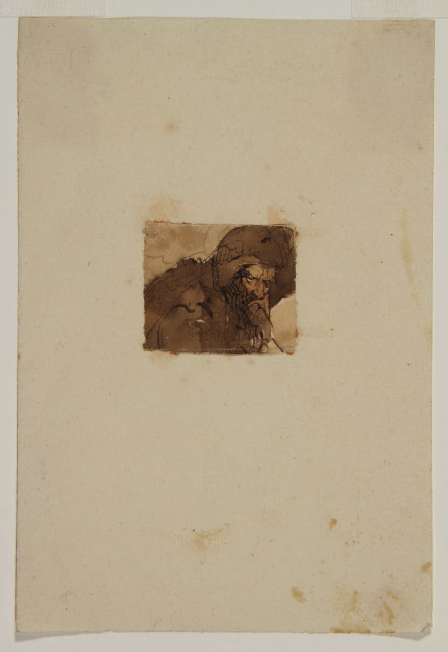 Testa virile barbuta con cappuccio, Testa virile barbuta con cappuccio (disegno) di Bison, Giuseppe Bernardino (secc. XVIII/ XIX)