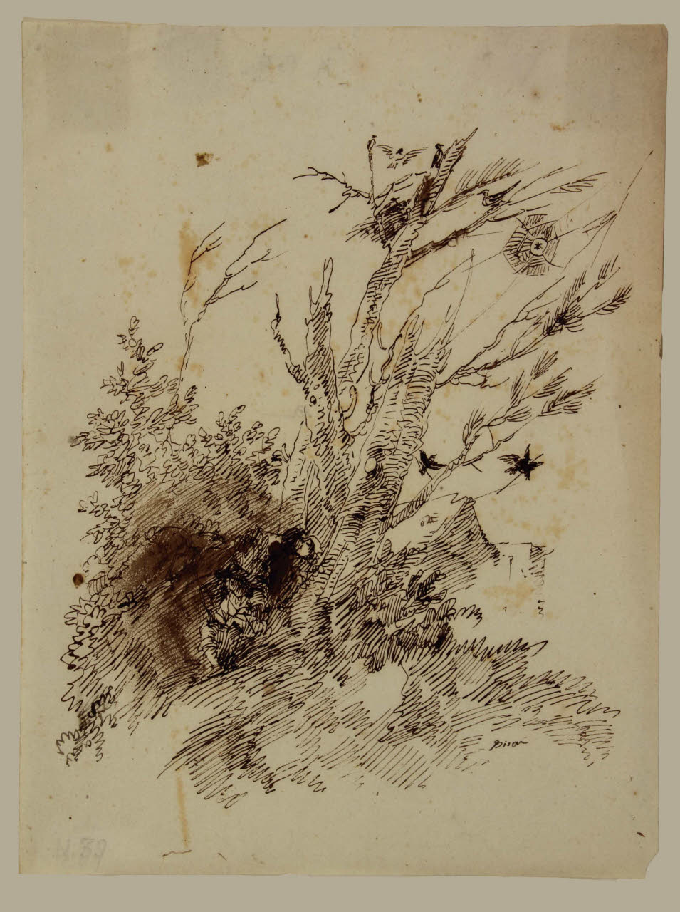 Gruppo d'alberi con figura, Gruppo d'alberi con figura (disegno) di Bison, Giuseppe Bernardino (secc. XVIII/ XIX)