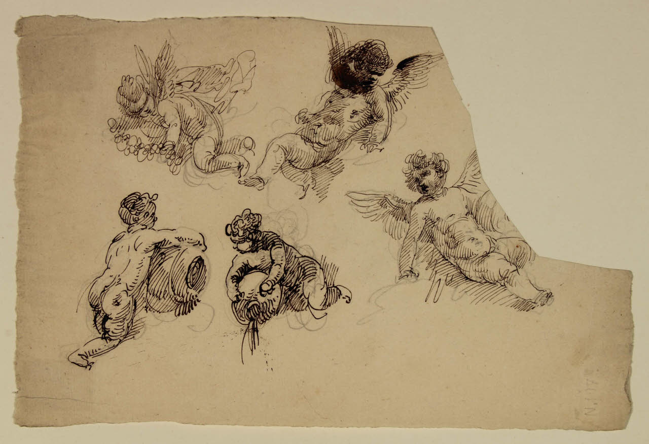 Cinque studi di putti alati con anfore e festoni floreali, Cinque studi di putti alati con anfore e festoni floreali (disegno) di Bison, Giuseppe Bernardino (secc. XVIII/ XIX)