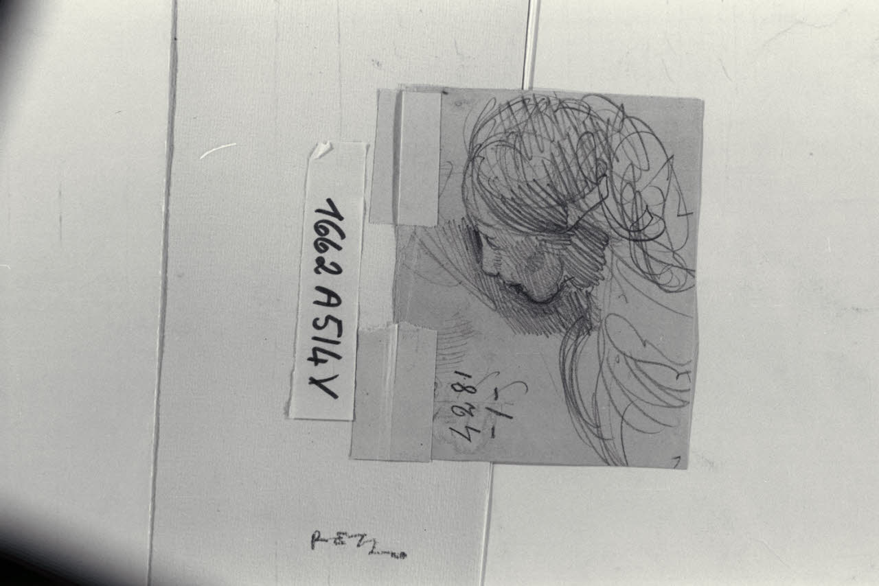 Volto femminile (disegno) di Carnovali, Giovanni detto Piccio (sec. XIX)