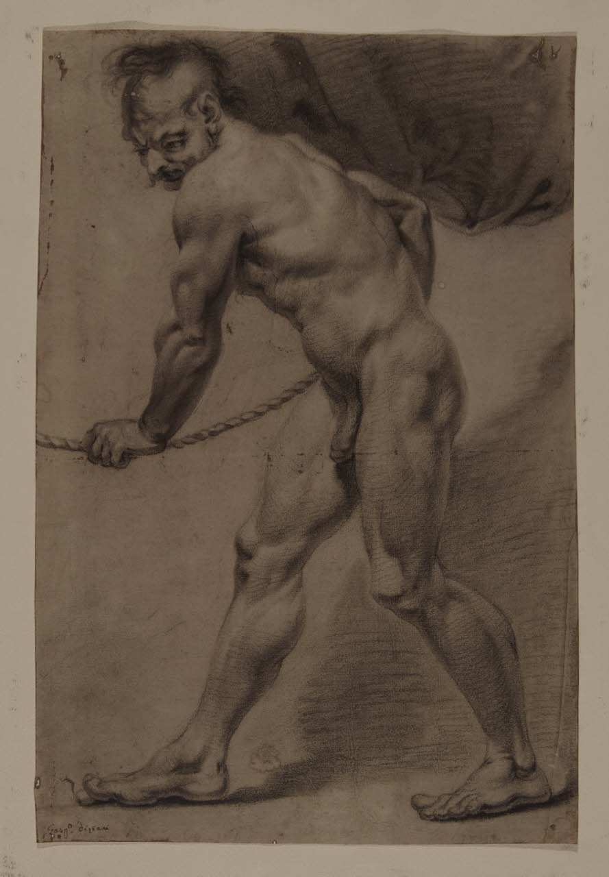 Studio di figura maschile inclinata in avanti in atto di tirare una corda, Studio di figura maschile inclinata in avanti in atto di tirare una corda (disegno) di Diziani, Gaspare (sec. XVIII)