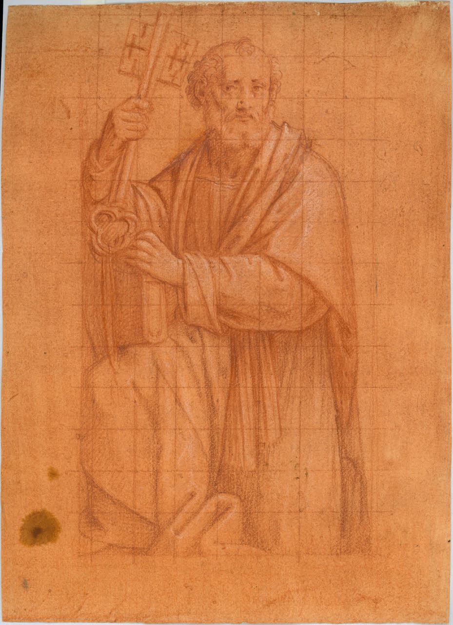San Pietro (disegno) di Luini, Bernardino (copia) - ambito lombardo (seconda metà sec. XVI)
