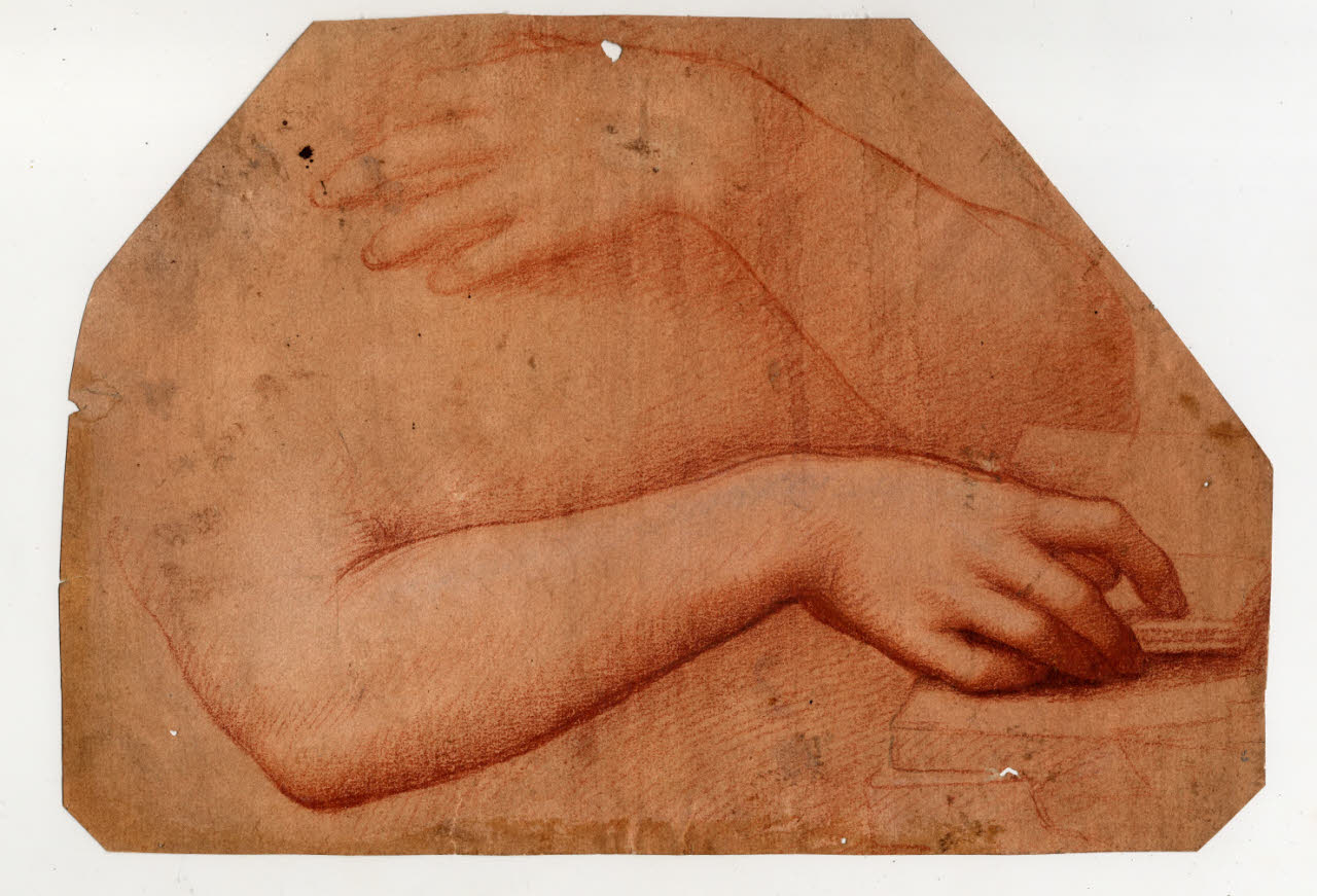 Studio di braccia (disegno) di Rizzoli, Giovan Pietro detto Giampietrino (prima metà sec. XVI)