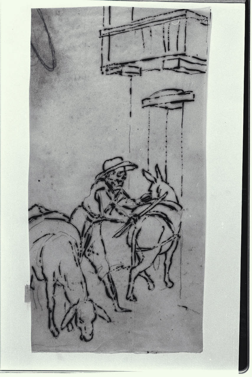 Scheletro di un uomo con due asini (disegno) di Macinata, Giuseppe (sec. XIX)