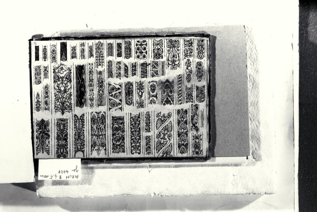 Particolari di fregi decorativi (disegno) di Macinata, Giuseppe; Macinata, Giuseppe (secondo quarto sec. XIX)