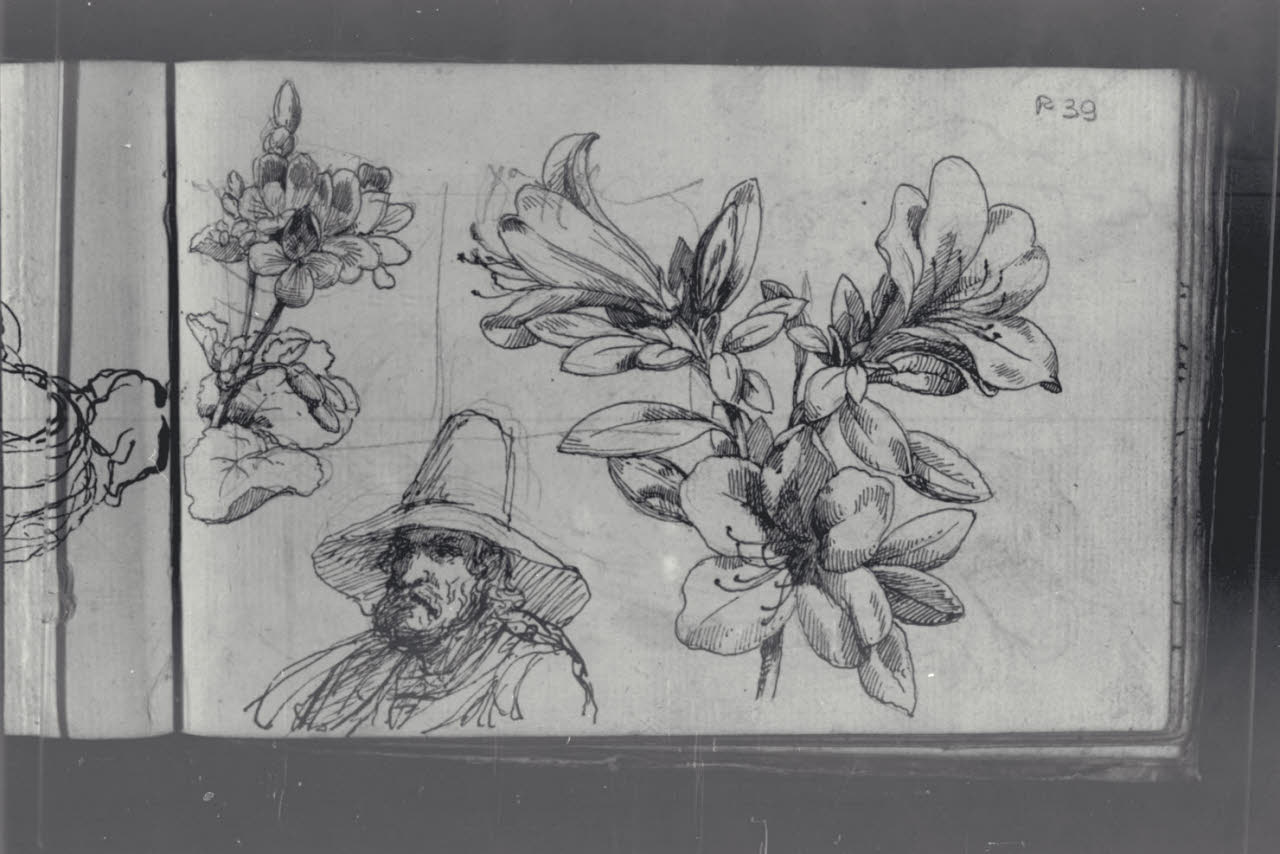 Uomo con cappello e studio di fiori (disegno) di Macinata, Giuseppe; Macinata, Giuseppe (secondo quarto sec. XIX)