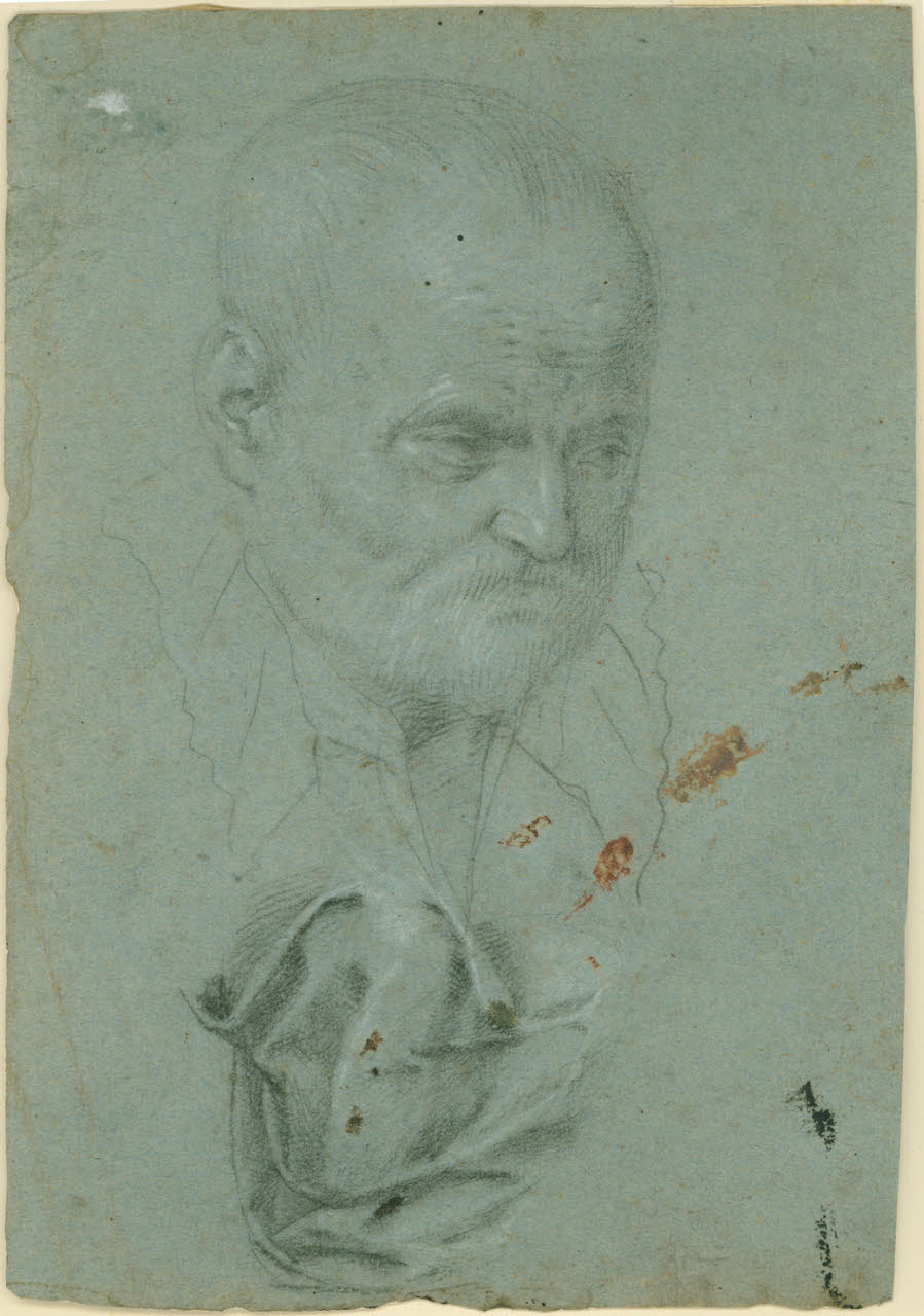 Testa di uomo barbuto e studio di panneggio (disegno) di Peterzano, Simone (cerchia) (seconda metà sec. XVI)