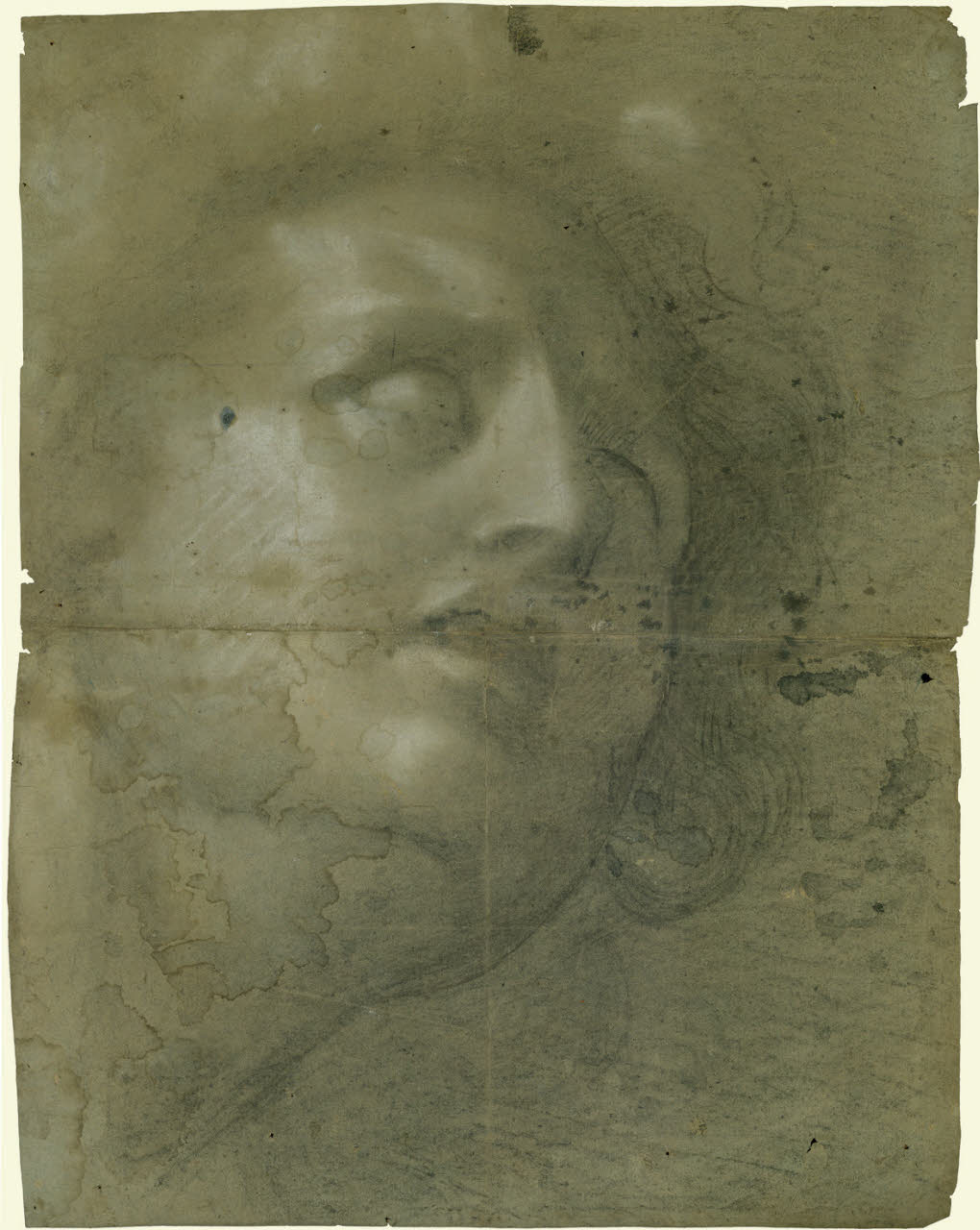 Testa dell'Alessandro morente (disegno) - Ambito lombardo (seconda metà sec. XVII)