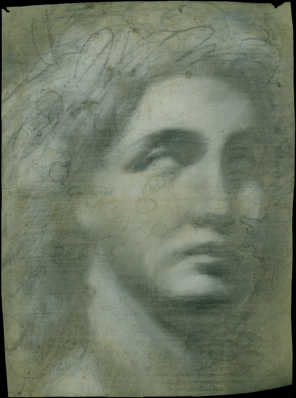 Studio di testa (disegno) - Ambito lombardo (fine sec. XVII)