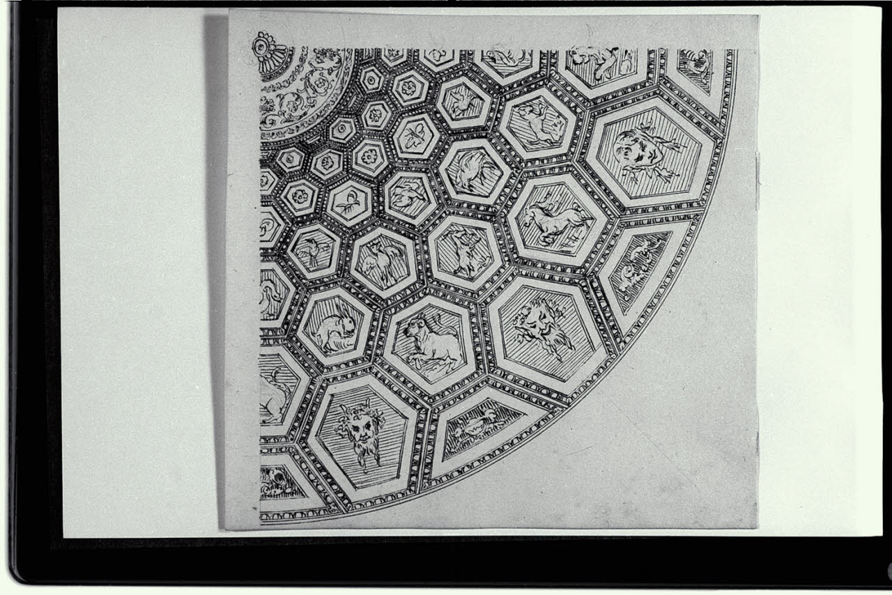 Decorazione dell'interno di una volta del cortile di S. Damaso (disegno) di Pollack, Leopoldo (fine sec. XVIII)