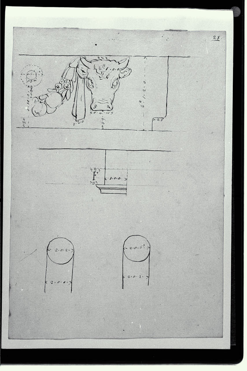 Particolari del fregio a bucrani del tempio di Vesta (disegno) di Pollack, Leopoldo (fine sec. XVIII)
