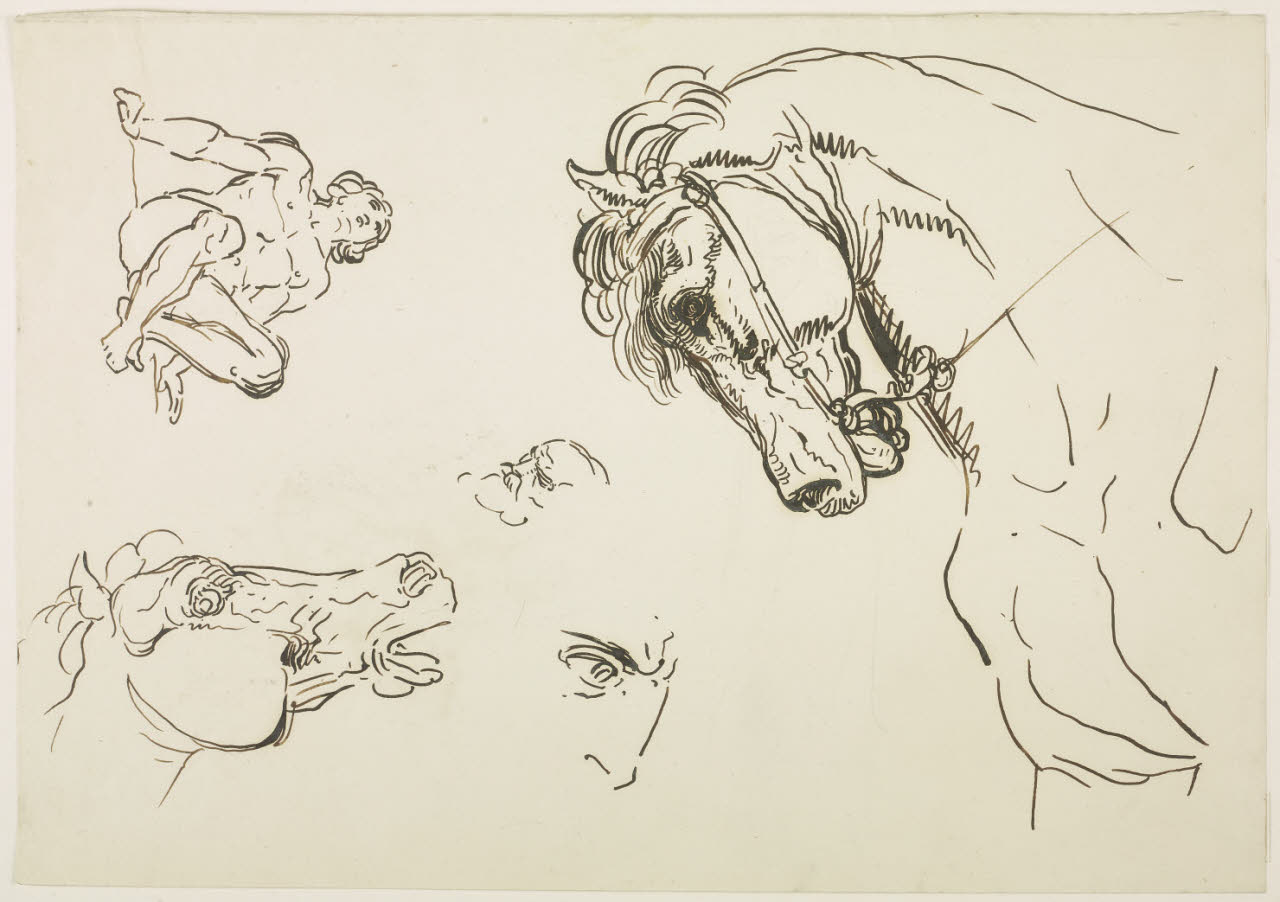 Studi di teste di cavallo, di teste maschili e di nudo virile (disegno) di Sabatelli, Luigi (secc. XVIII/ XIX)