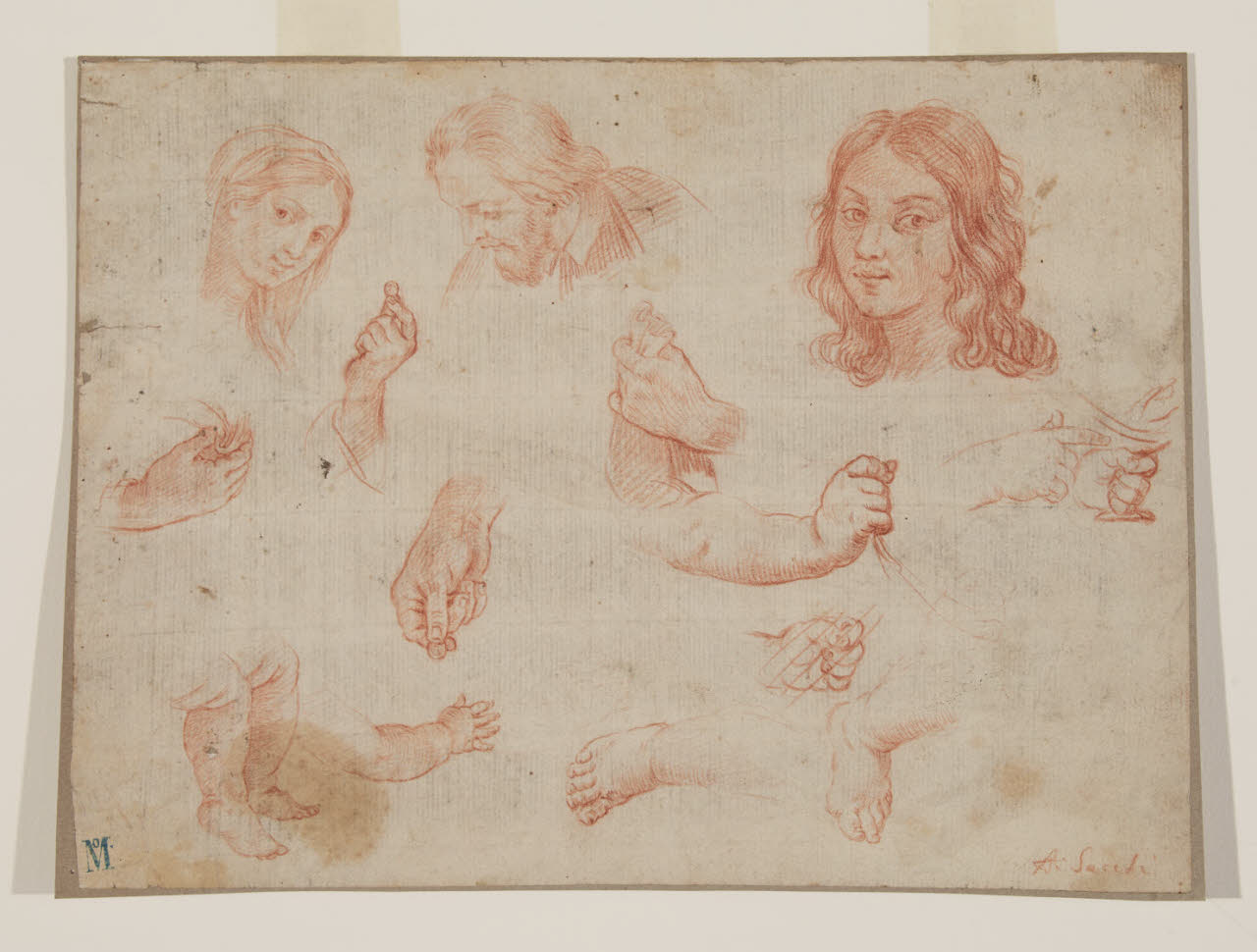 Studi di teste, mani e piedi, Studi di teste, mani e piedi (disegno) - Ambito emiliano (?) (sec. XVII)