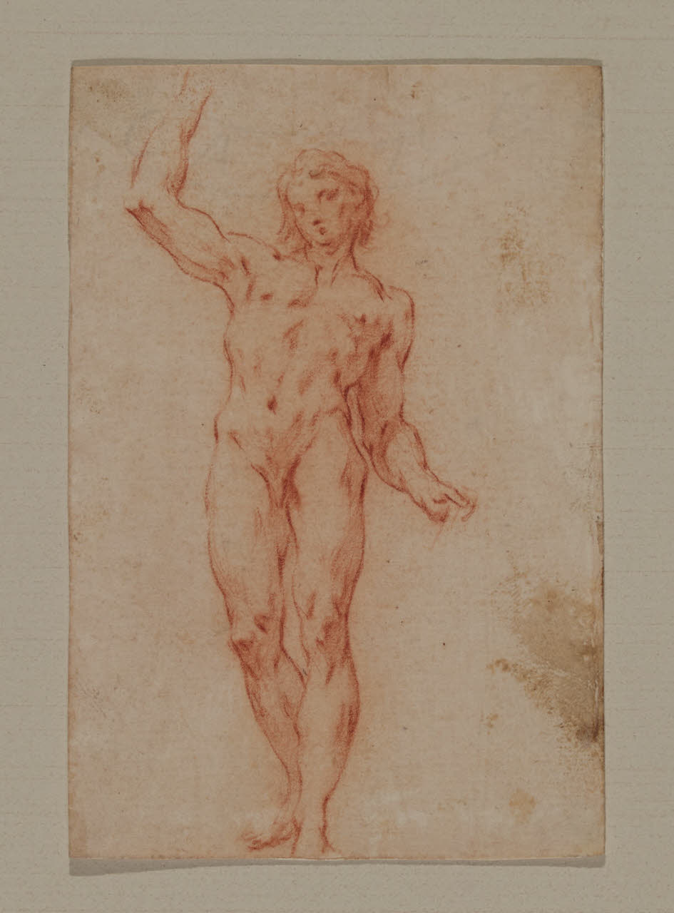Studio di nudo maschile con il braccio destro alzato (disegno) - Anonimo (sec. XVIII)