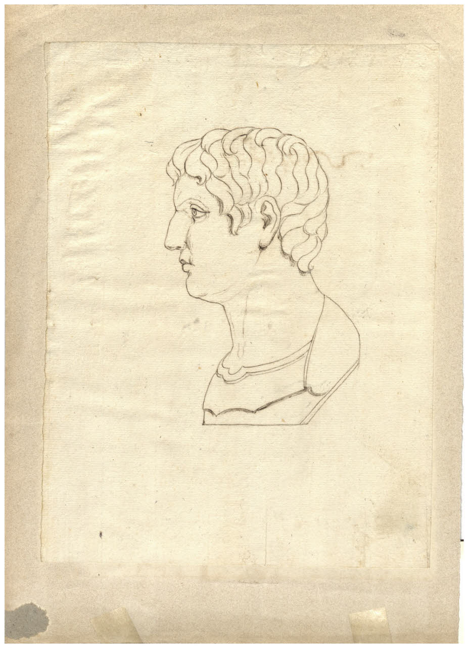 Busto maschile (disegno) di Maggiolini (bottega) (secc. XVIII/ XIX)