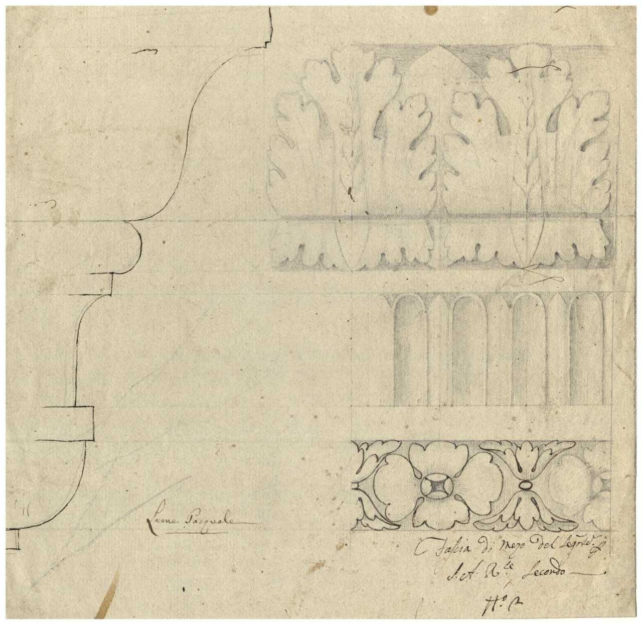Fregi e profilo di un capitello (disegno) di Leone, Pasquale ((?)) (secc. XVIII/ XIX)