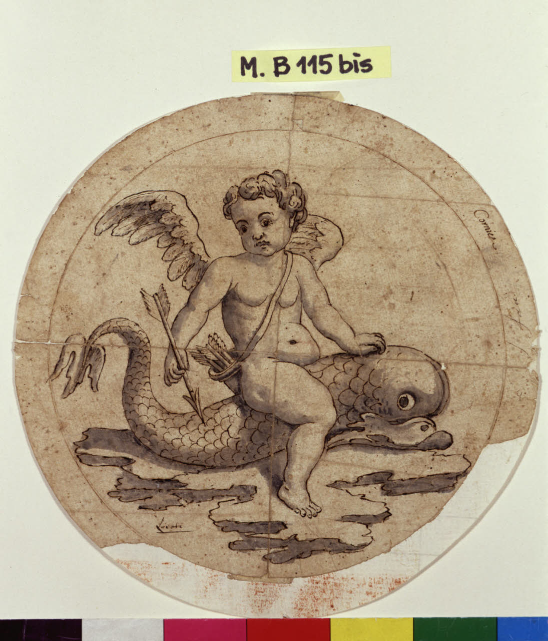 Amorino che cavalca un delfino (disegno) di Levati, Giuseppe ((?)) (secc. XVIII/ XIX)