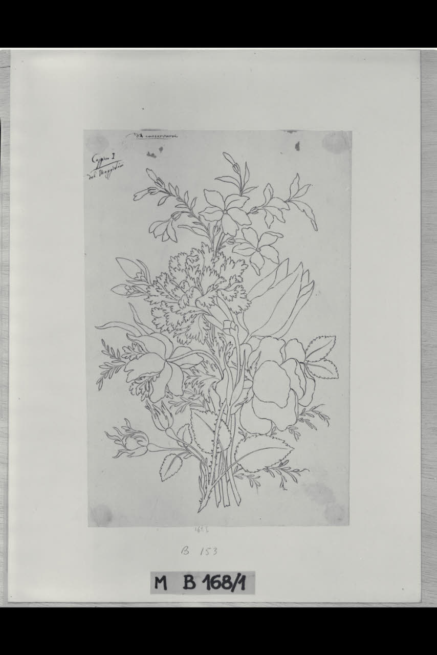 Fiori (disegno) di Maggiolini (bottega) (secc. XVIII/ XIX)