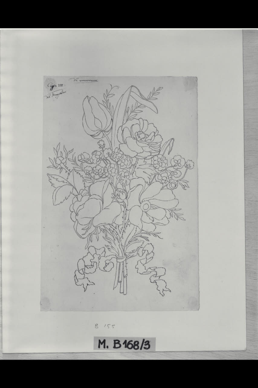Mazzo di fiori legato da una galla (disegno) di Maggiolini (bottega) (secc. XVIII/ XIX)