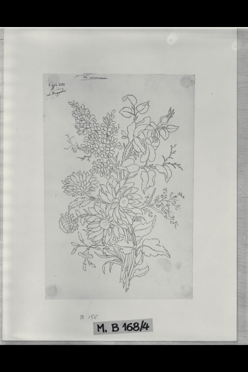 Fiori (disegno) di Maggiolini (bottega) (secc. XVIII/ XIX)