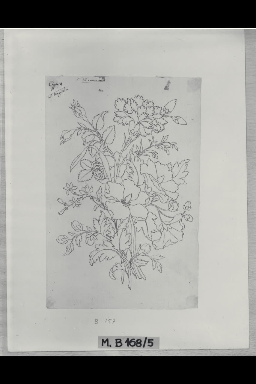 Fiori (disegno) di Maggiolini (bottega) (secc. XVIII/ XIX)