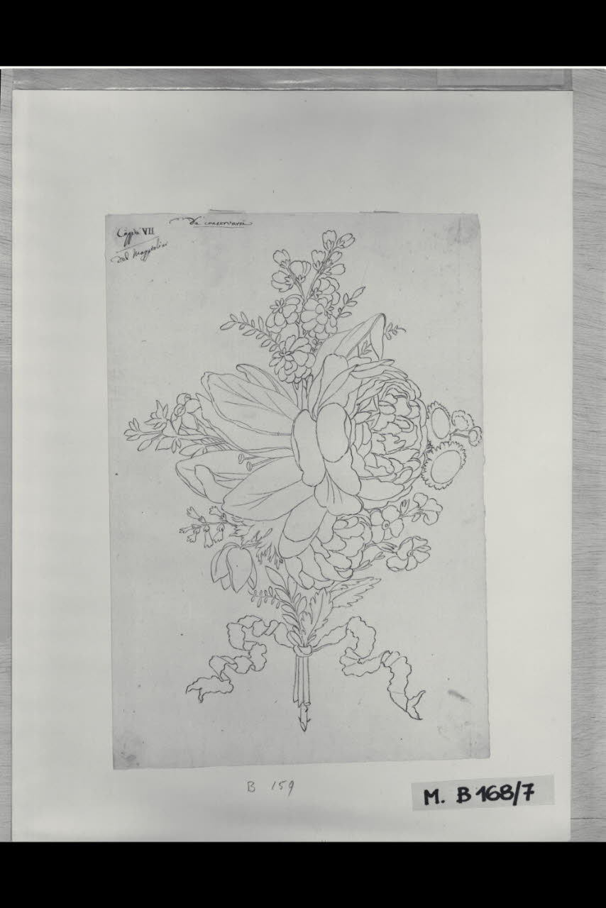 Mazzo di fiori legato da una galla (disegno) di Maggiolini (bottega) (secc. XVIII/ XIX)