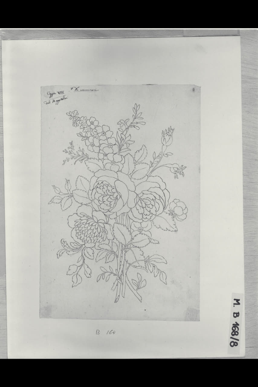 Fiori (disegno) di Maggiolini (bottega) (secc. XVIII/ XIX)