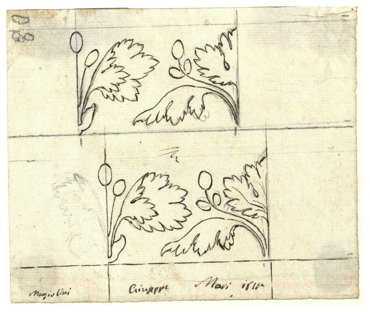 Elementi fitomorfi (disegno) di Maggiolini (bottega) (sec. XIX)