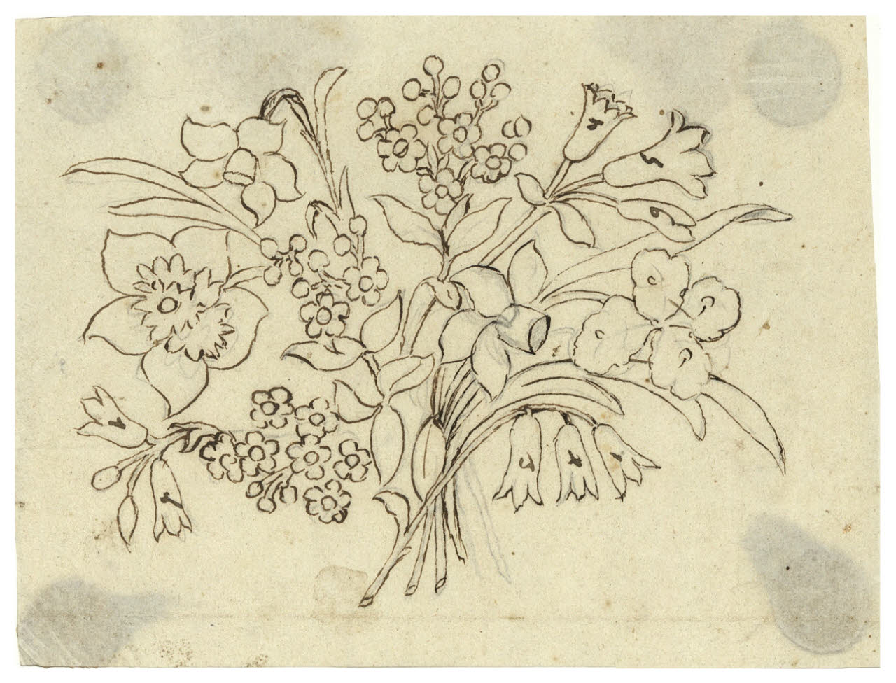 Fiori (disegno) di Maggiolini (bottega) (secc. XVIII/ XIX)