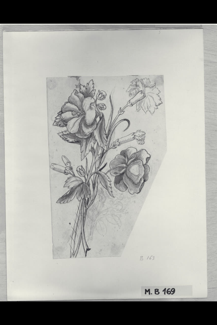 Studio di fiori (disegno) di Maggiolini (bottega) (secc. XVIII/ XIX)