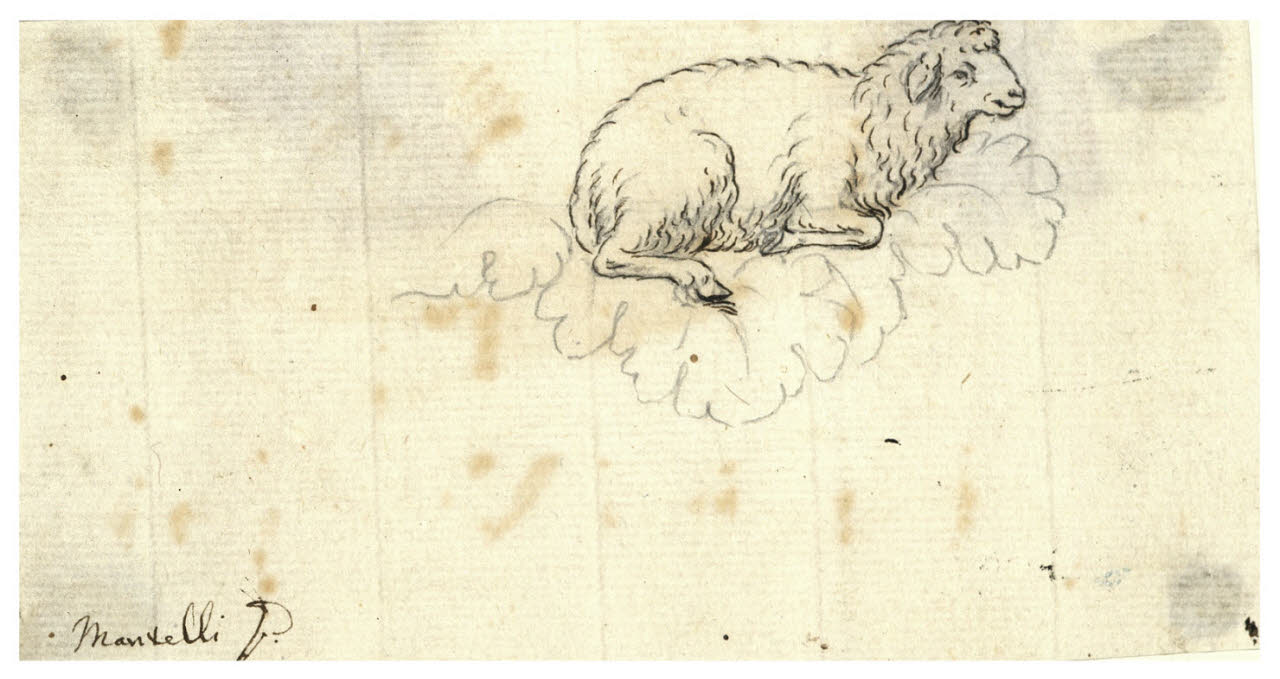 Agnello (disegno) di Mantelli, Girolamo ((?)) (sec. XVIII)
