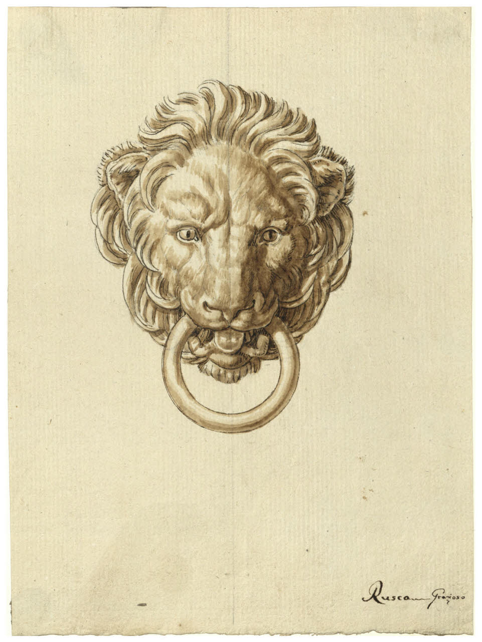 Testa di leone con un anello in bocca (disegno) di Rusca, Grazioso (secc. XVIII/ XIX)