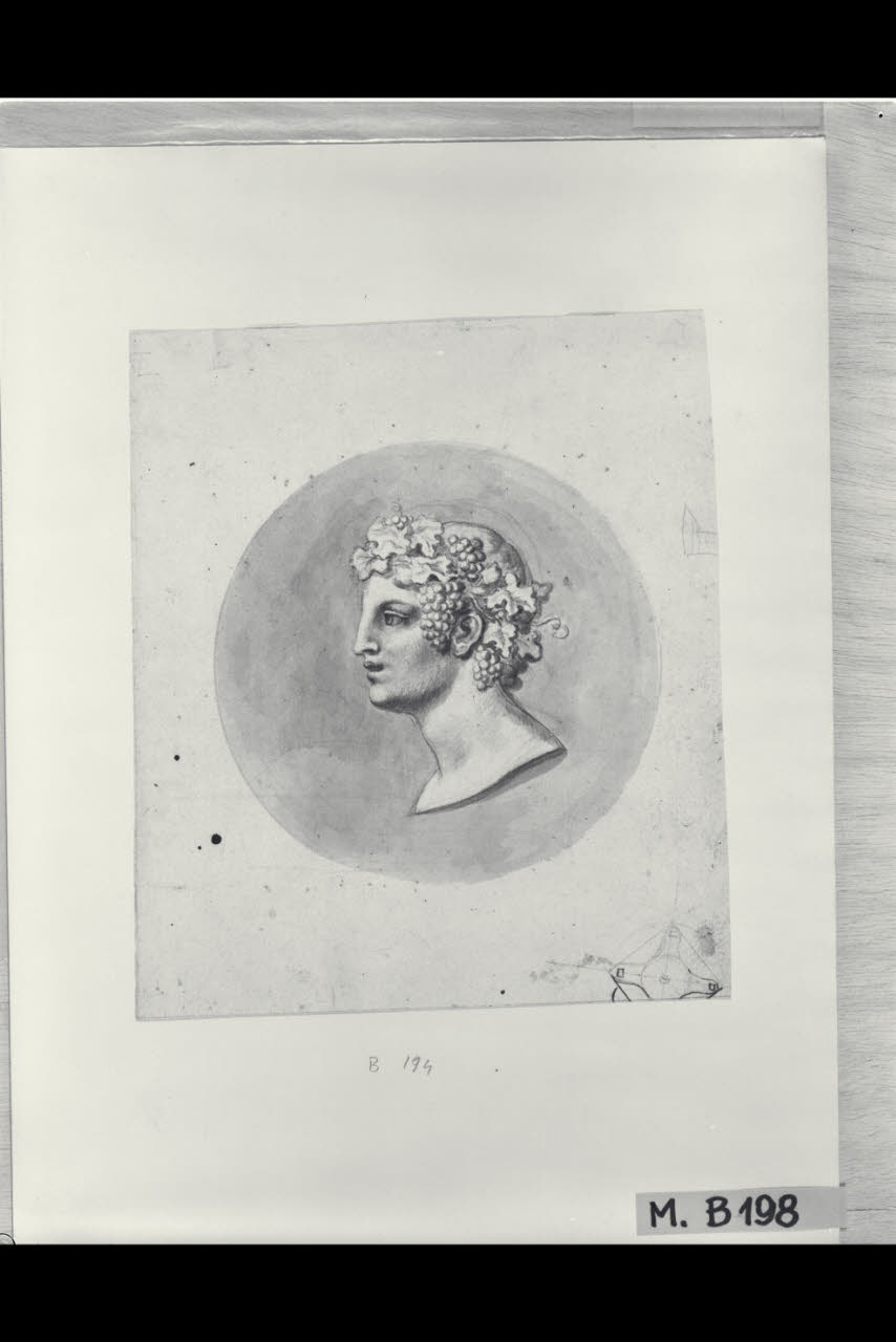 Testa di Bacco (disegno) di Maggiolini (bottega) (secc. XVIII/ XIX)