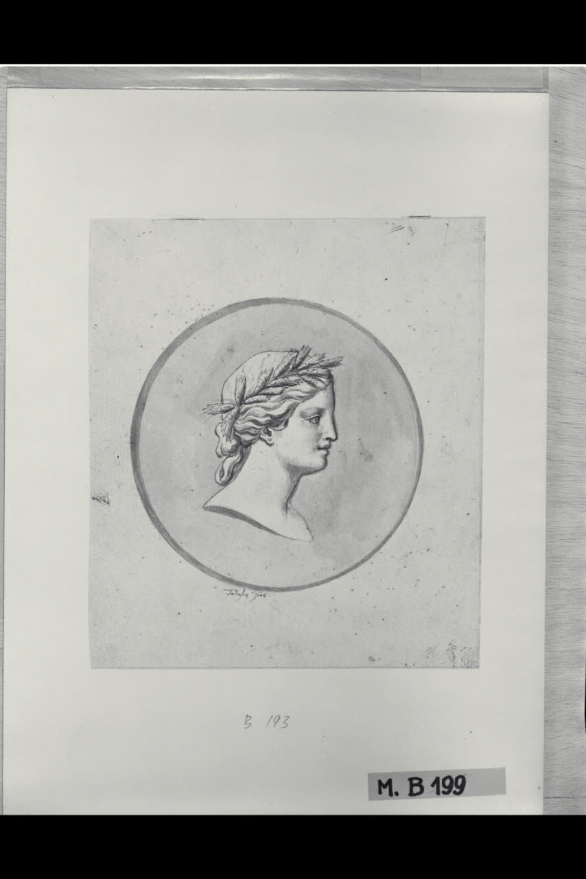 Testa di Cerere (disegno) di Tedesco, Giovanni (secc. XVIII/ XIX)