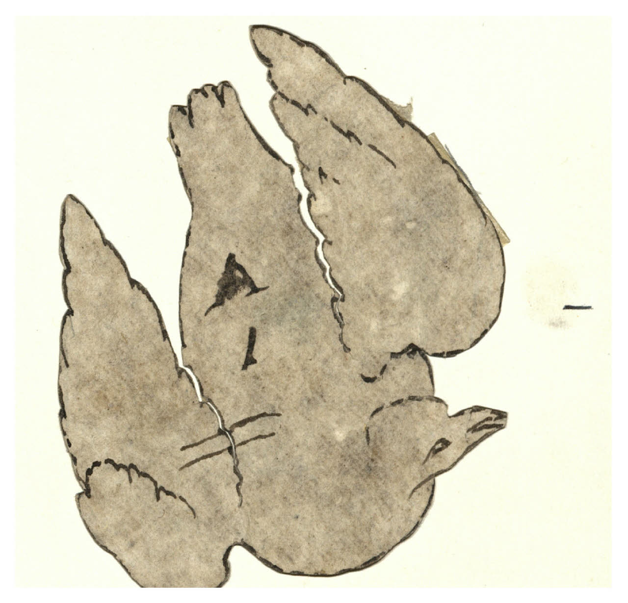 Colomba (disegno) di Maggiolini (bottega) (secc. XVIII/ XIX)