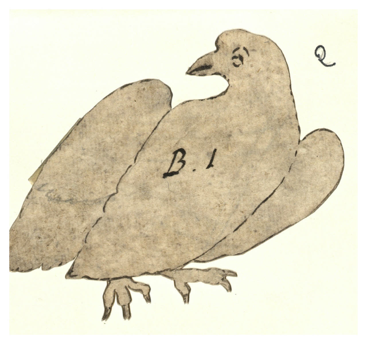 Colombo (disegno) di Maggiolini (bottega) (secc. XVIII/ XIX)