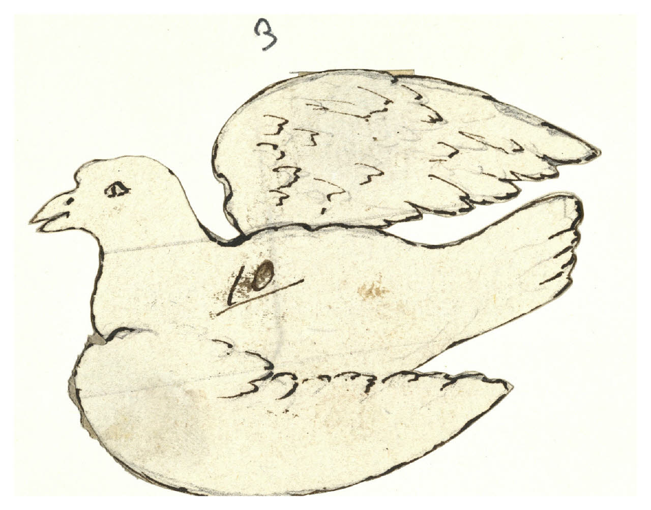 Colomba (disegno) di Maggiolini (bottega) (secc. XVIII/ XIX)