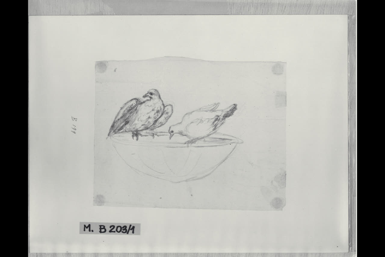 Le colombe di Plinio (disegno) di Maggiolini (bottega) (secc. XVIII/ XIX)