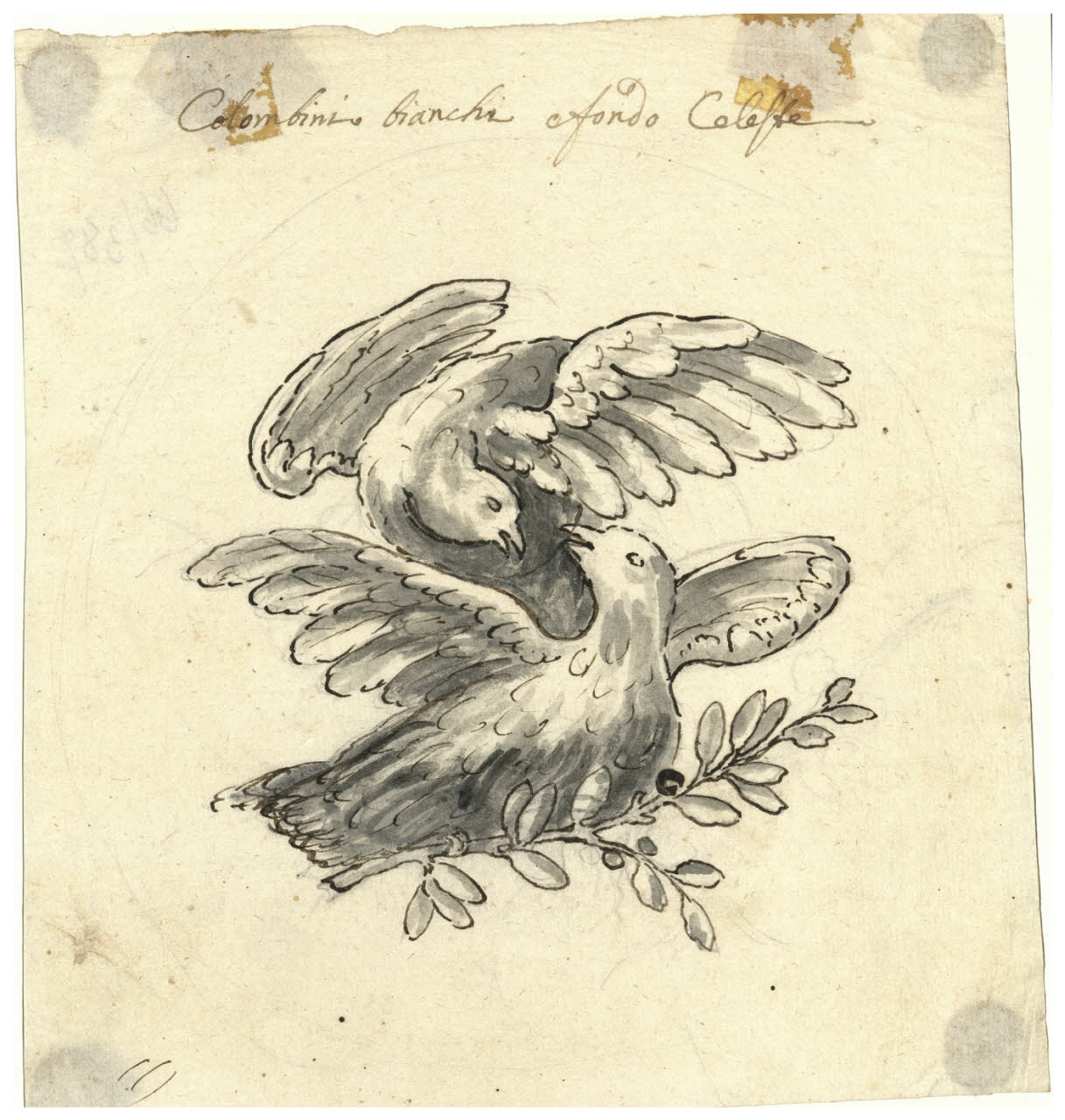 Due colombe (disegno) di Maggiolini (bottega) (secc. XVIII/ XIX)