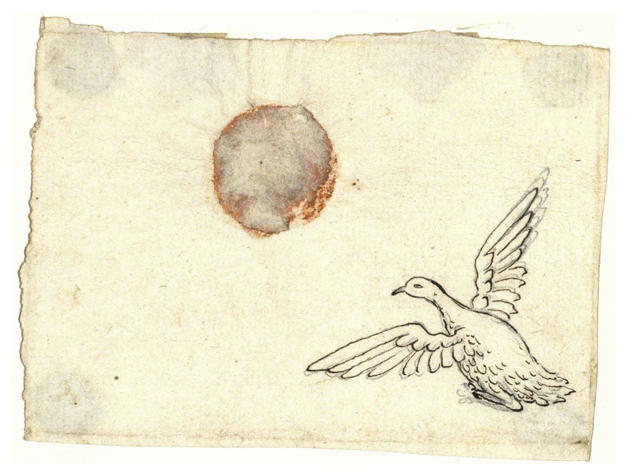 Uccello ad ali spiegate (disegno) di Maggiolini (bottega) (secc. XVIII/ XIX)