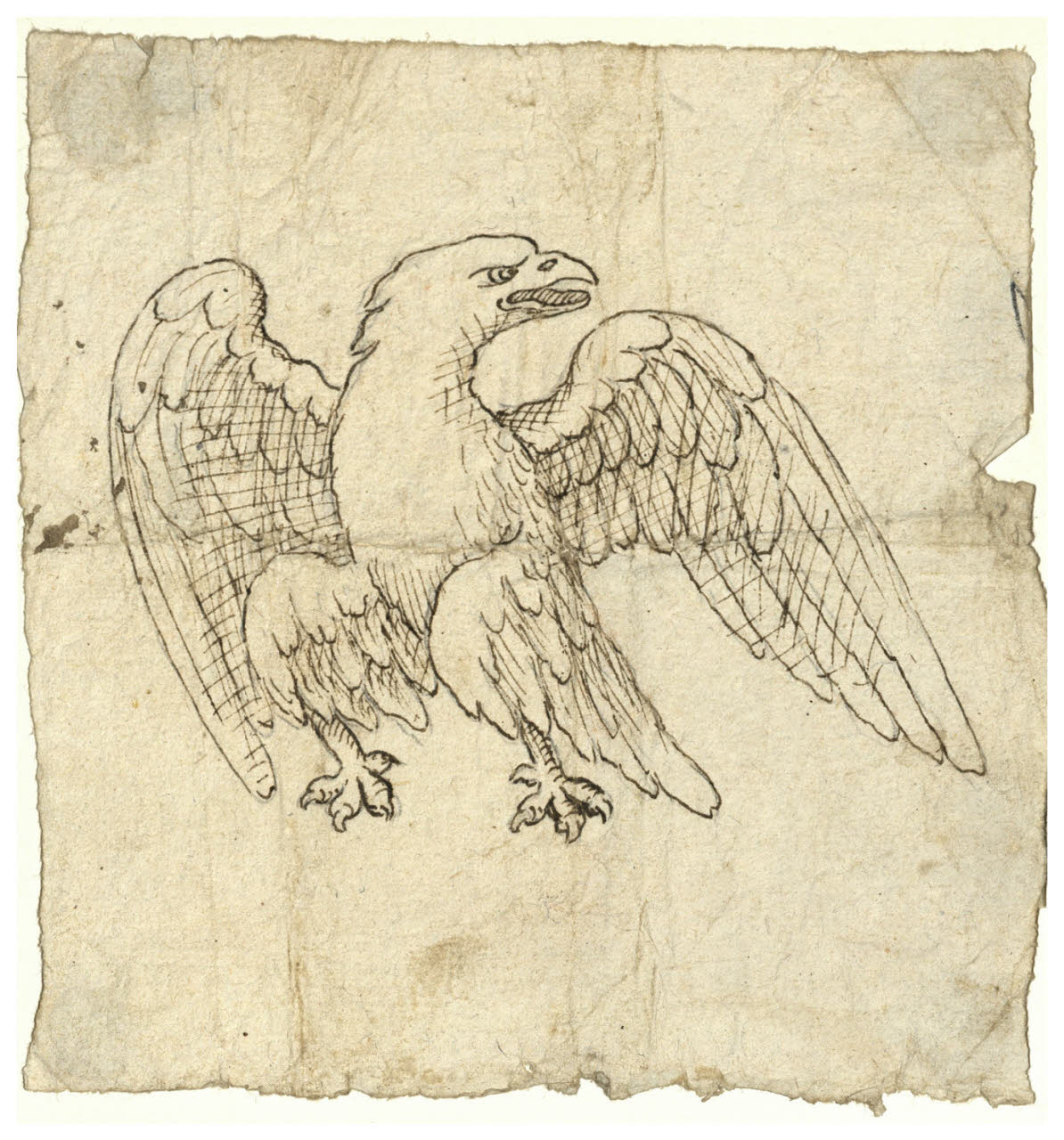 Aquila (disegno) di Maggiolini (bottega) (secc. XVIII/ XIX)