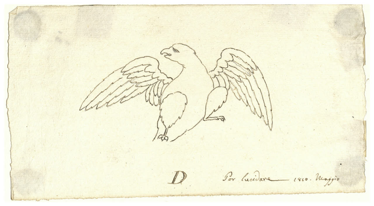 Aquila (disegno) di Maggiolini (bottega) (sec. XIX)