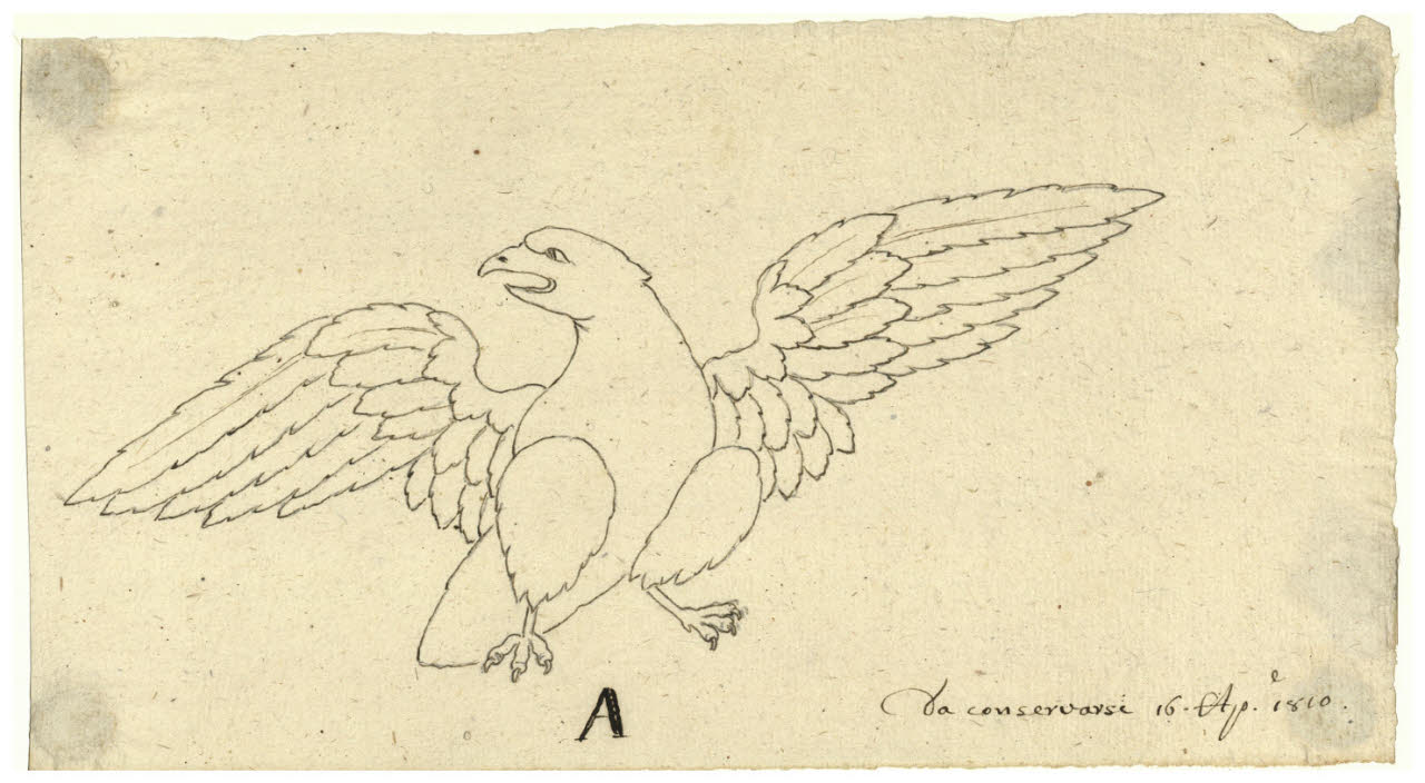 Aquila (disegno) di Maggiolini (bottega) (sec. XIX)