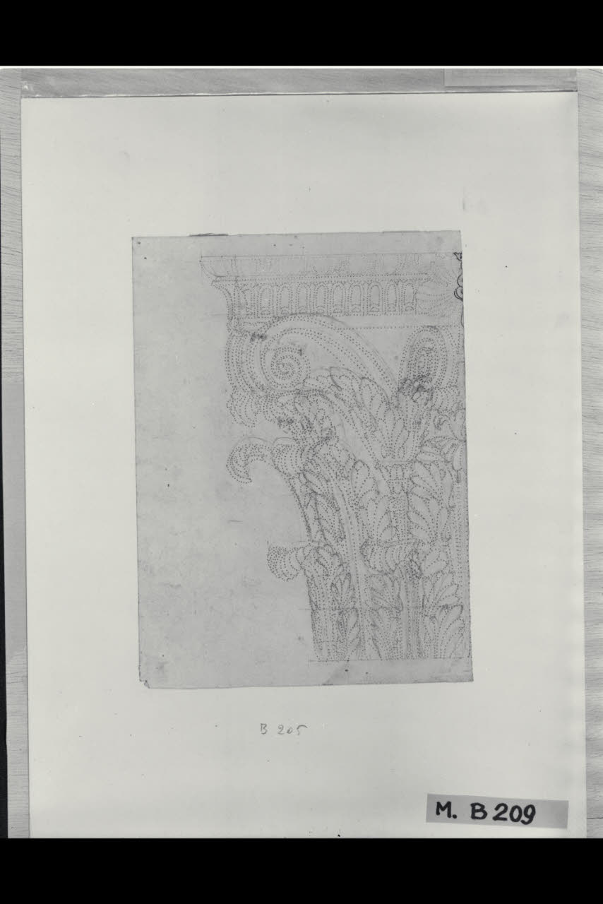 Capitello corinzio (disegno) di Maggiolini (bottega) (secc. XVIII/ XIX)